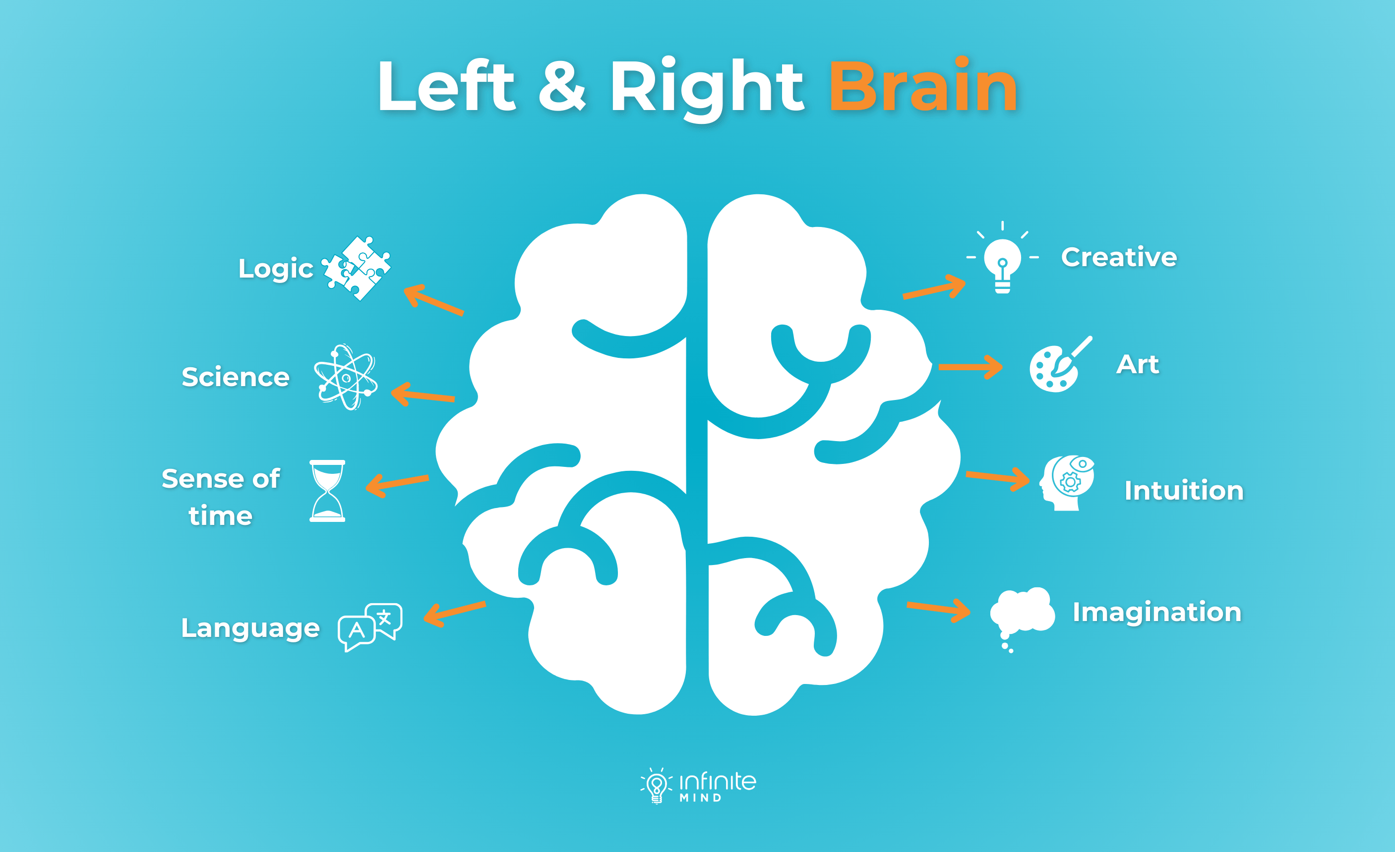 left and right brain