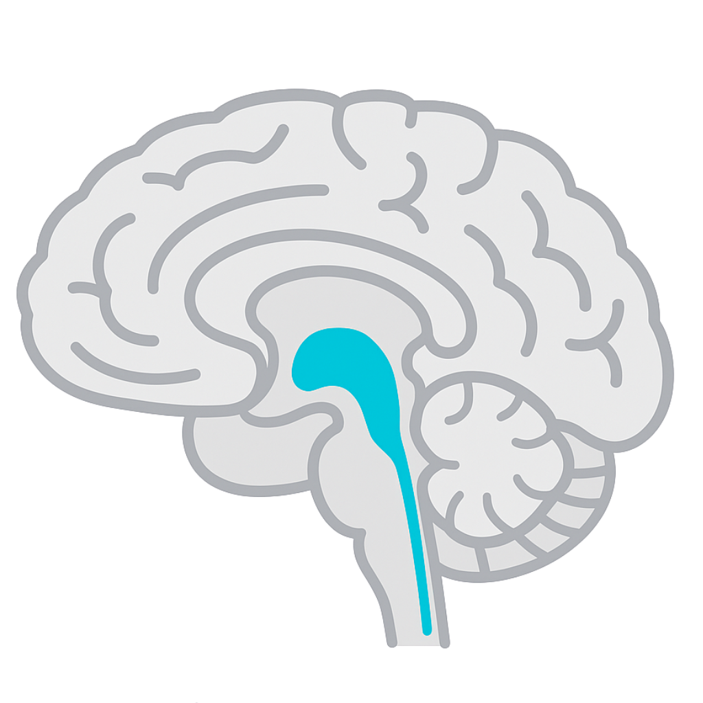 Image is not available