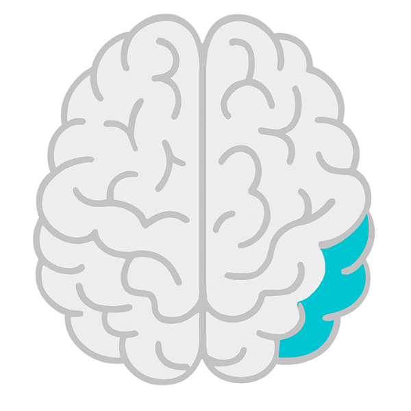 Image is not available